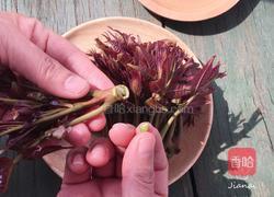 香椿拌豆腐的做法图解1