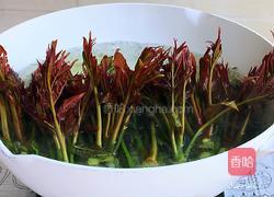 香椿拌豆腐的做法图解3