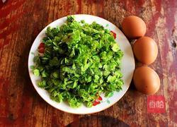 榆钱炒鸡蛋的做法图解1