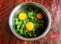 榆钱炒鸡蛋的做法图解3