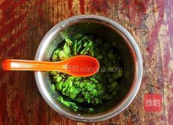 榆钱炒鸡蛋的做法图解4