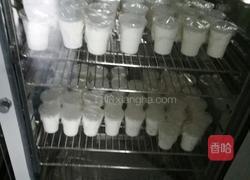 自制酸奶的做法图解4