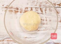 苏打饼干的做法图解4