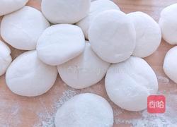 荠菜豆腐馅儿饺子的做法图解5