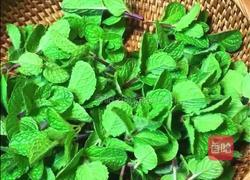 薄荷菠萝的做法图解4