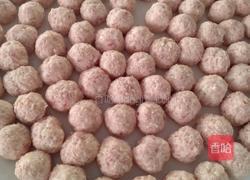 白菜煮肉丸的做法图解4