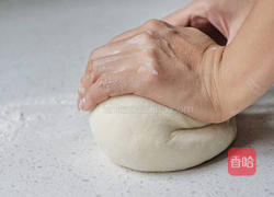 香菇粉丝猪肉包的做法图解1