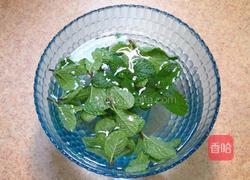 薄荷弥猴桃汁的做法图解3