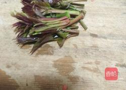 香椿炒蛋的做法图解1