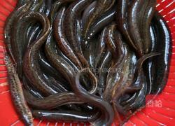 枸杞泥鳅汤的做法图解1