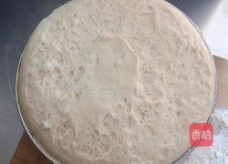 荠菜鲜肉煎包的做法图解3