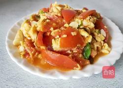 番茄炒蛋的做法图解9