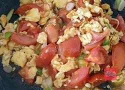 番茄炒蛋的做法图解7