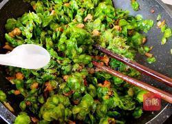 辣味榆钱炒肉的做法图解14