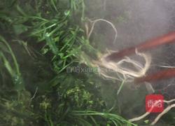 荠菜煮蛋的做法图解2