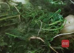 荠菜煮蛋的做法图解9