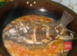 红烧福寿鱼的做法图解5