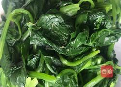 凉拌菠菜粉条的做法图解3