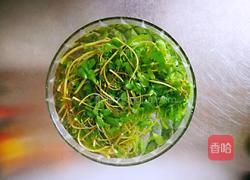 凉拌马齿苋的做法图解3