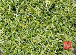 黄花粑粑的做法图解1