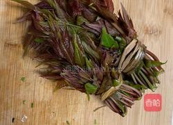 香椿芽拌豆腐的做法图解2