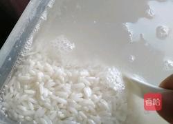 原味粽子(无糖孕妇版)的做法图解1