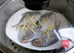 清蒸美味小鲳鱼的做法图解4