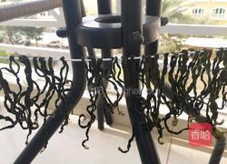 晒豆角干的做法图解8