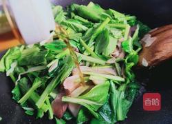 鲜蘑炒油菜的做法图解7