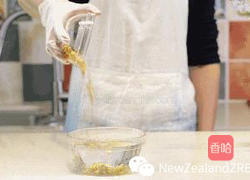 新西兰花胶筒子骨黄豆苦瓜汤的做法图解1