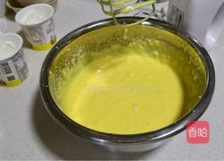 酸奶芝士蛋糕的做法图解8