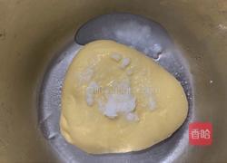 椰子油提子吐司(一次发酵)的做法图解4