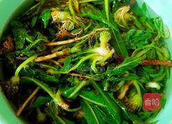 蒲公英炒鸡蛋的做法图解3