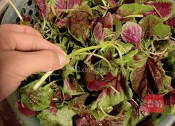 炒红苋菜的做法图解1