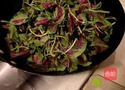 炒红苋菜的做法图解2