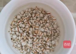 冬瓜薏米排骨汤的做法图解2