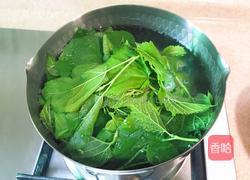 桑叶馒头的做法图解3