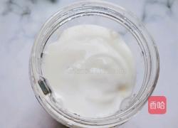 芒果奶昔的做法图解5