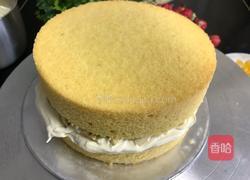 水果树生日蛋糕的做法图解12