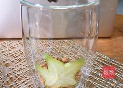 水果酸奶木糠杯的做法图解6