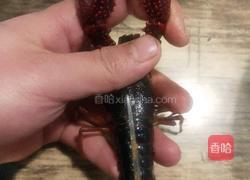 油焖大虾(小龙虾)的做法图解2