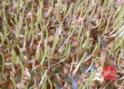 自制麦芽糖的做法图解2