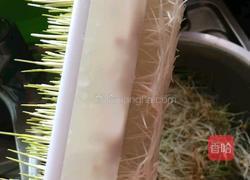 自制麦芽糖的做法图解4