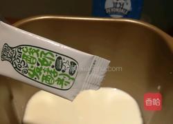 手工酸奶（大果粒）的做法图解3