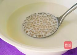 橙子奶香西米露的做法图解6