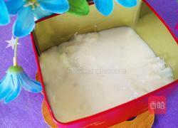 芒果猕猴桃牛奶糕的做法图解11