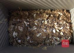 香蕉蛋糕的做法图解15