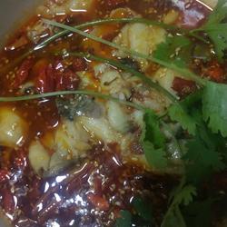 沸腾鱼的做法[图]
