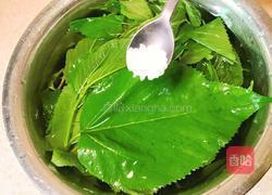 凉拌桑叶芽的做法图解2