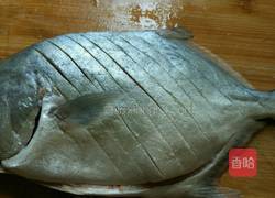 清蒸金昌鱼的做法图解1